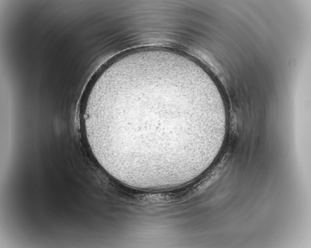 X0000093510883200711021026