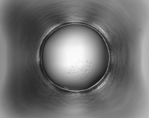 X0000093510885200711021026