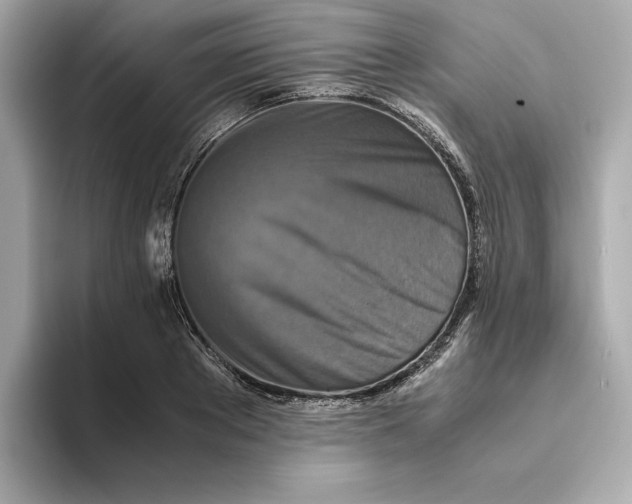 X0000093510889200711021026