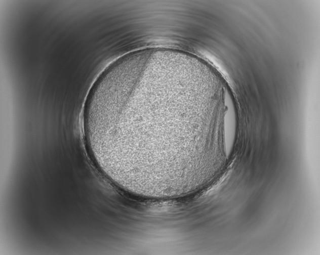 X0000093510891200711021026