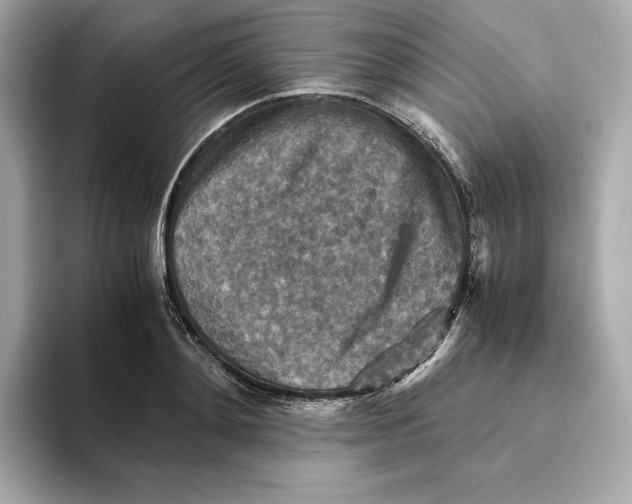 X0000093510892200711021026