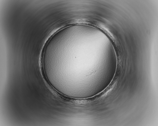 X0000093510893200711021026