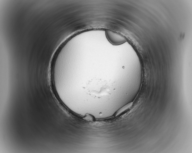 X0000093510894200711021026