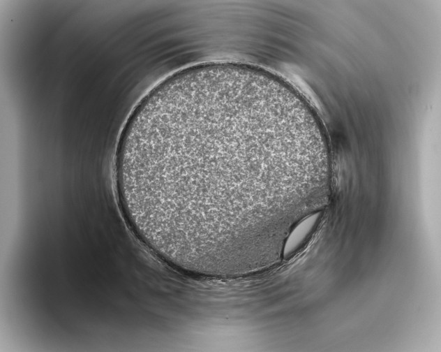 X0000093510895200711021026