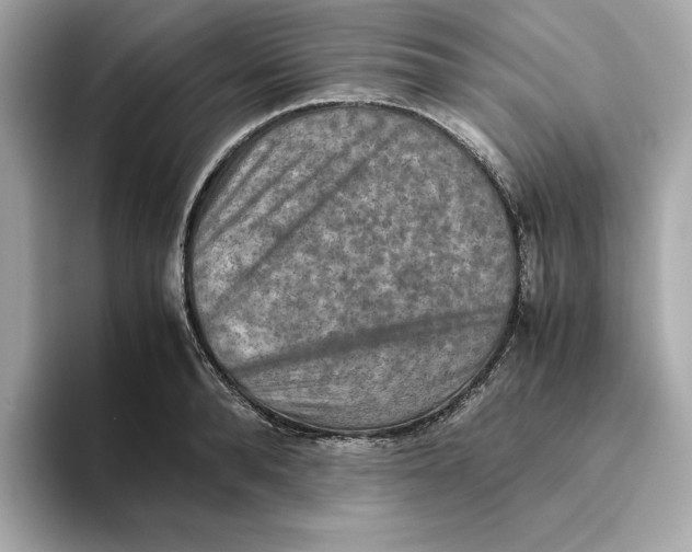 X0000093510896200711021026