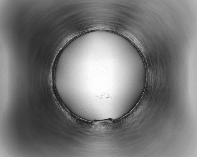 X0000093510898200711021026