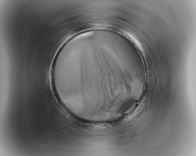 X0000093510899200711021026