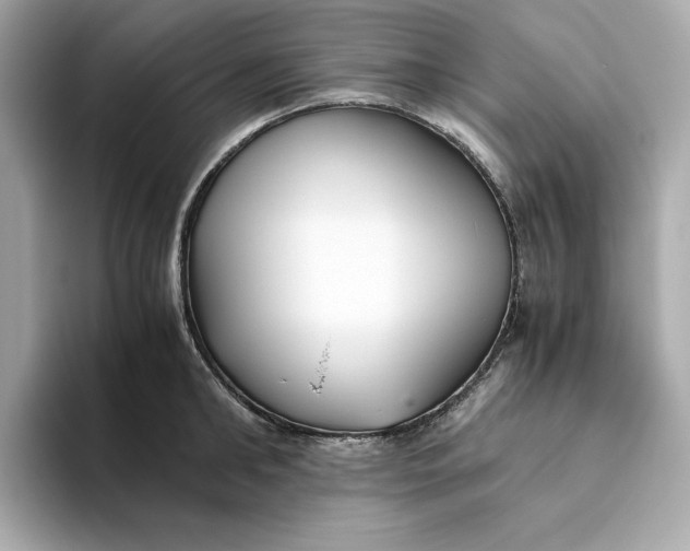 X0000093510902200711021026