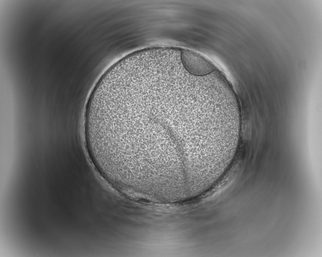 X0000093510903200711021026