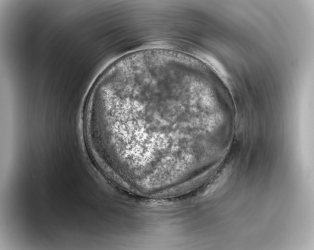 X0000093510907200711021025