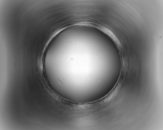 X0000093510908200711021025