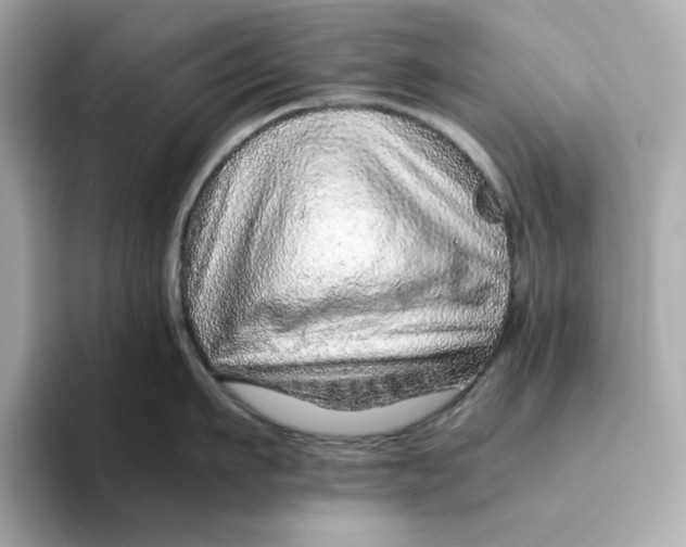 X0000093510911200711021025