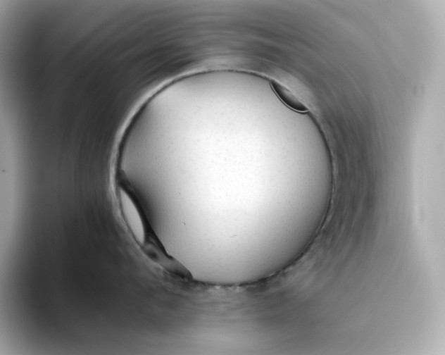 X0000093510912200711021025