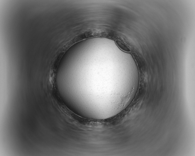 X0000093510914200711021025