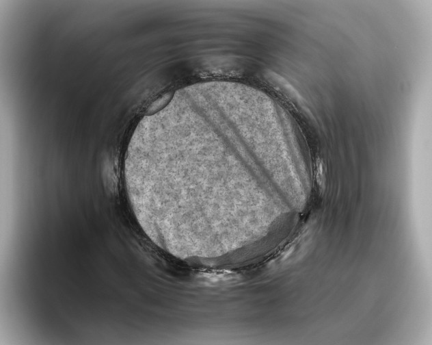 X0000093510915200711021025