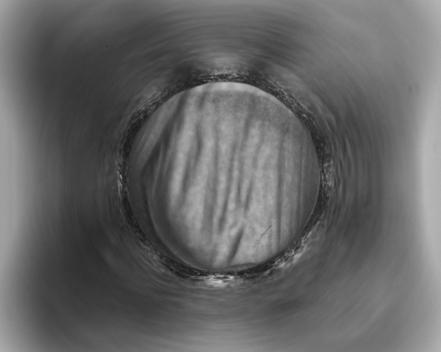 X0000093510916200711021025