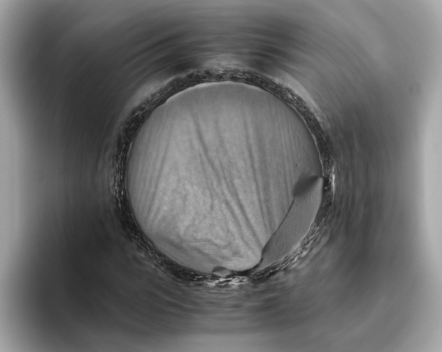 X0000093510919200711021025