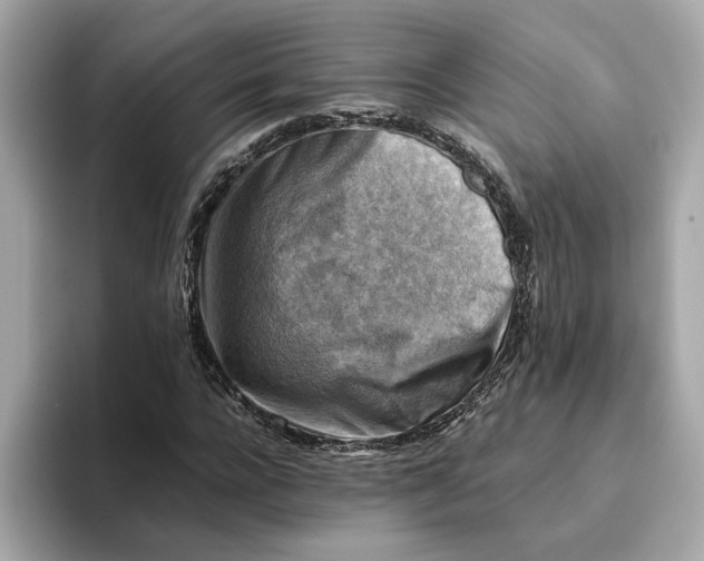 X0000093510920200711021025