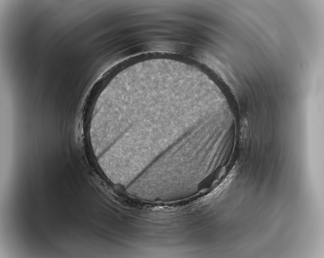 X0000093510923200711021025