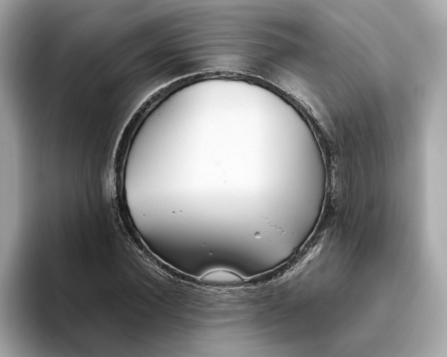 X0000093510924200711021025