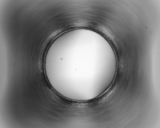 X0000093510930200711021025