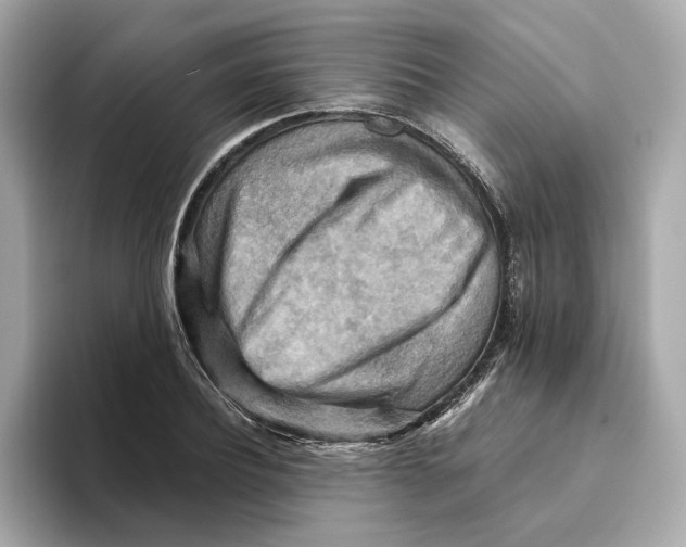 X0000093510932200711021025