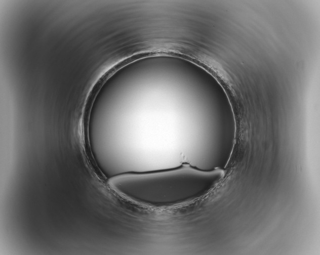 X0000093510936200711021025