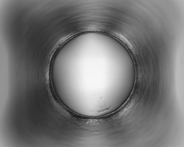 X0000093510938200711021025