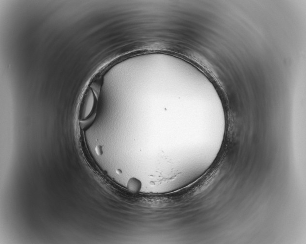 X0000093510939200711021025