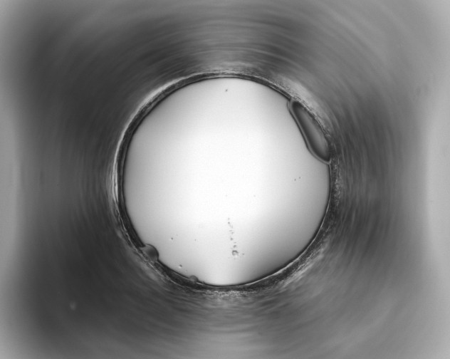 X0000093510940200711021025