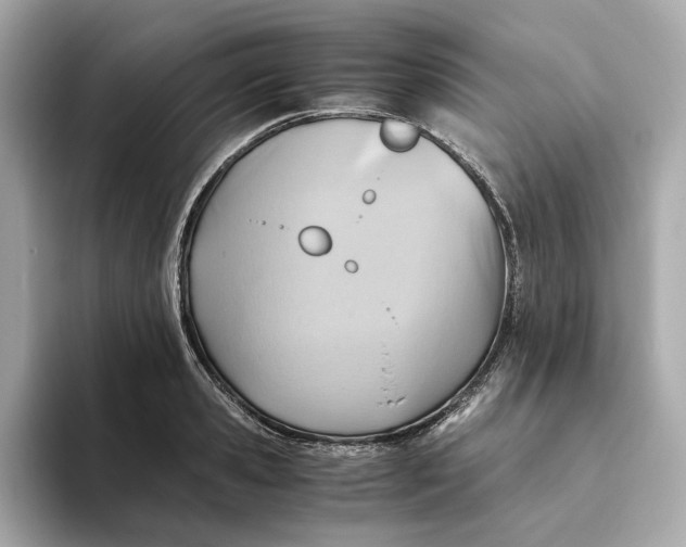 X0000093510941200711021025