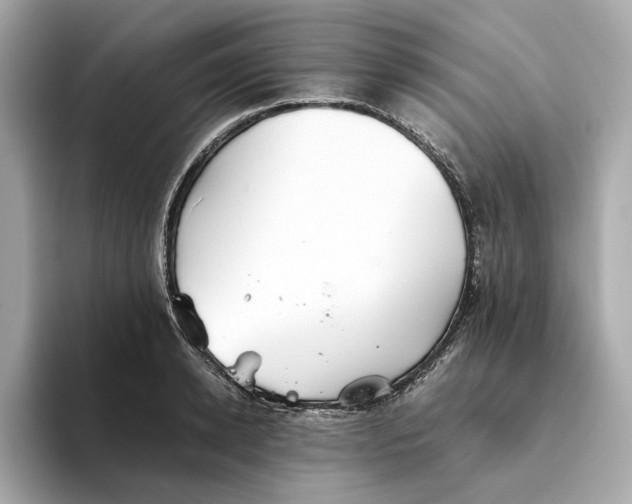 X0000093510942200711021025