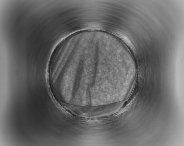 X0000093510944200711021025