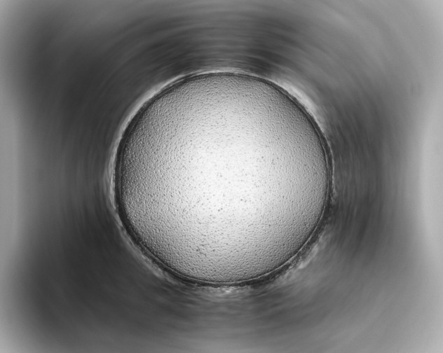 X0000093510949200711021025