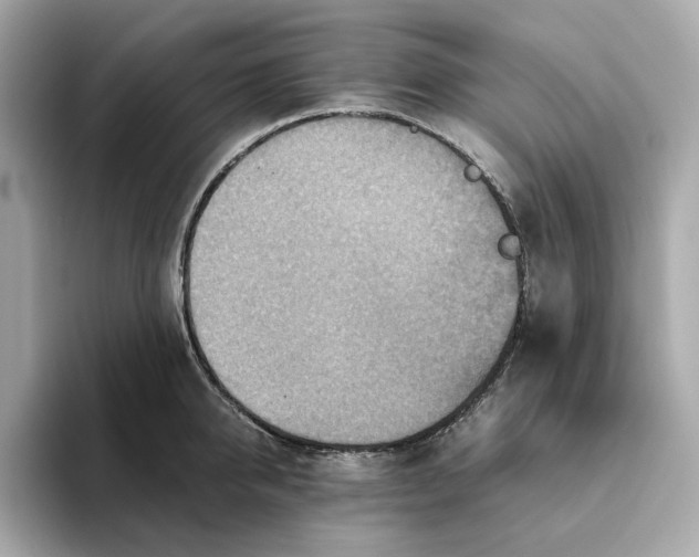 X0000093510950200711021025