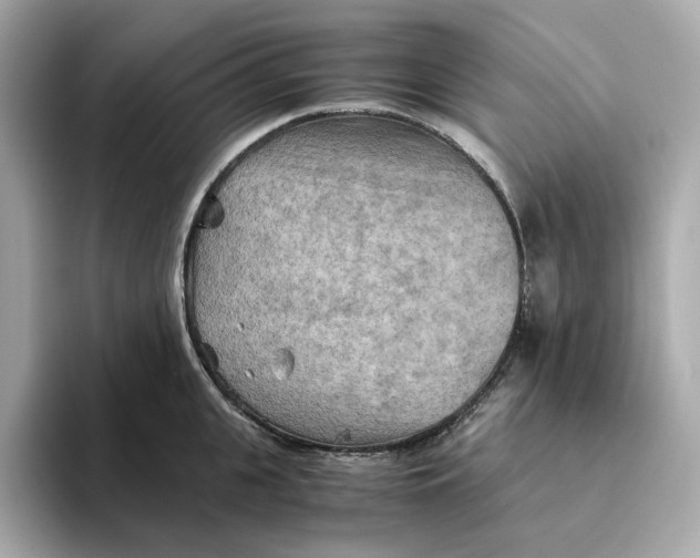 X0000093510951200711021025