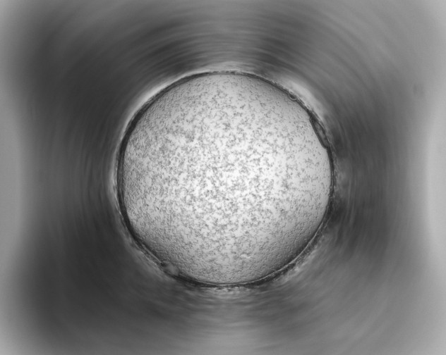 X0000093510952200711021025