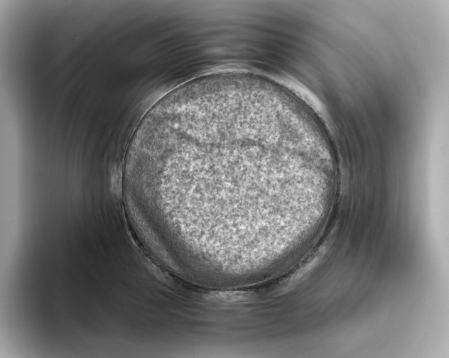 X0000093510953200711021025