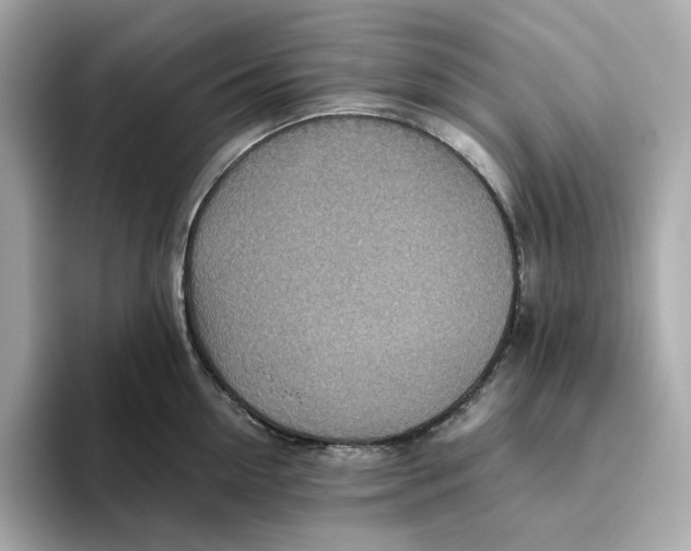 X0000093510954200711021025