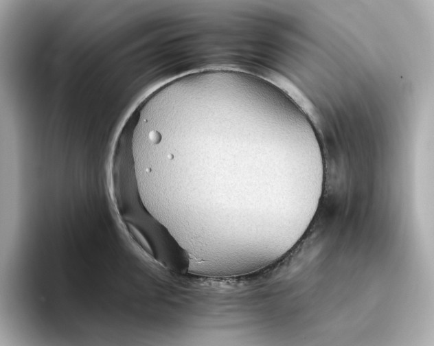 X0000093510955200711021025