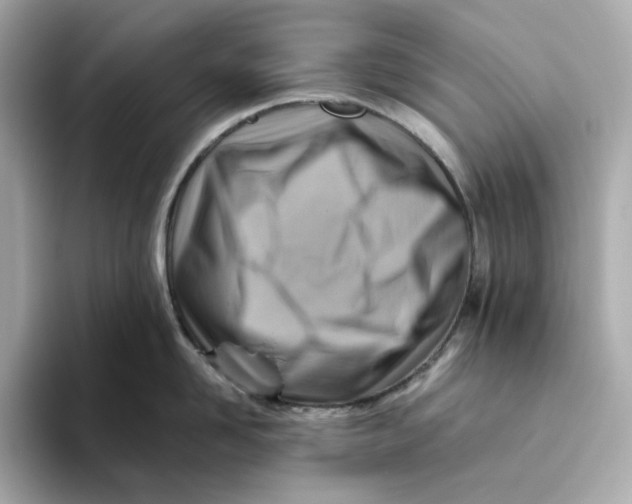 X0000093510958200711021025