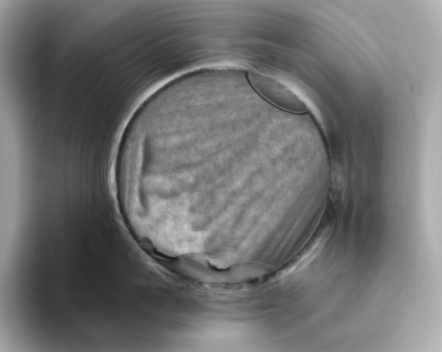 X0000093510959200711021025