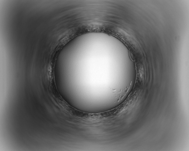 X0000093510964200711021025