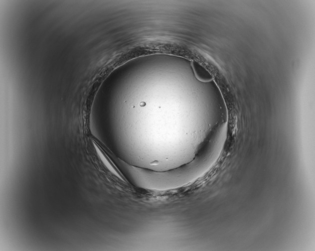 X0000093510965200711021025