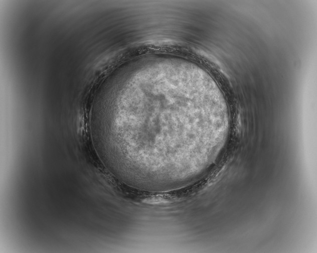 X0000093510966200711021025