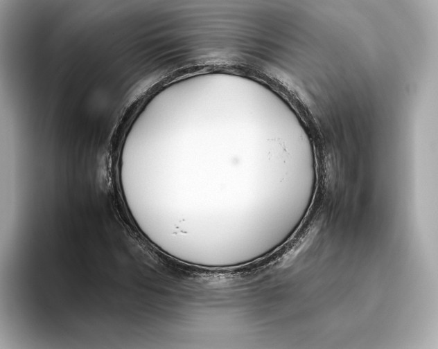 X0000093510970200711021025