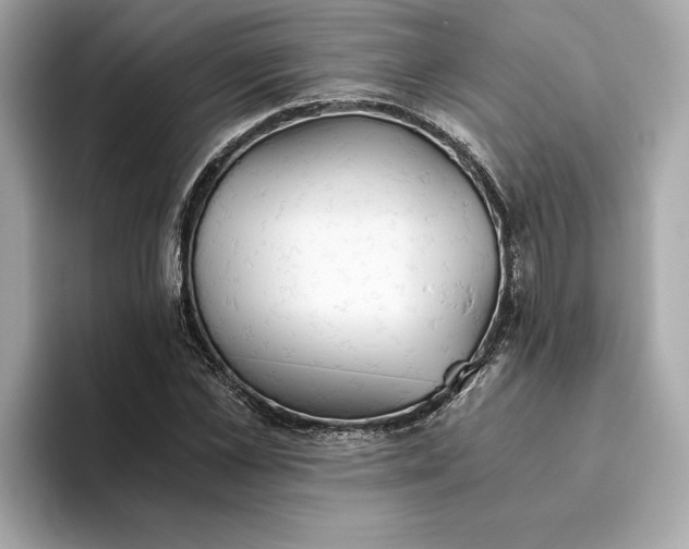 X0000093510973200711021025