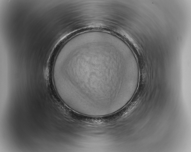 X0000093510975200711021025