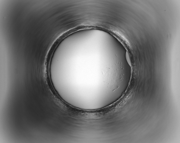 X0000093510976200711021025