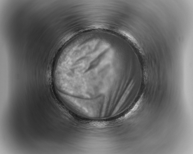 X0000093510977200711021025